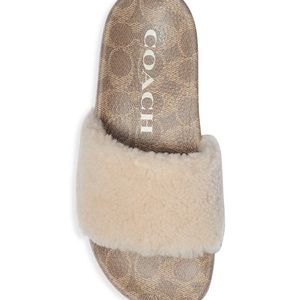 NWT Coach Ulla Slide